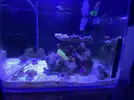 [TodoMarino.com] Primer Acuario Marino