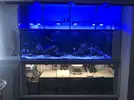 [TodoMarino.com] Venta Bomba subida Ecotech Vectra L2
