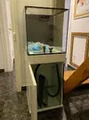 [TodoMarino.com] (VENDIDO) Vendo TMC Signature 4500 acuario de 91L mueble y sump (REBAJITA!)