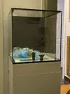[TodoMarino.com] (VENDIDO) Vendo TMC Signature 4500 acuario de 91L mueble y sump (REBAJITA!)