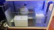 [TodoMarino.com] Regalo acuario marino