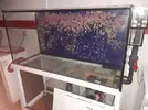 [TodoMarino.com] Regalo acuario marino