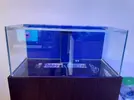 [TodoMarino.com] Acuario, mesa y sump