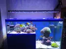 [TodoMarino.com] Vendo urna 330litros