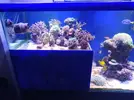 [TodoMarino.com] Vendo urna 330litros