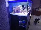 [TodoMarino.com] Vendo urna 330litros