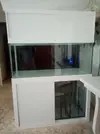 [TodoMarino.com] Acuario Jeypa ¡¡¡Por fin empezamos!!!