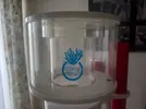 [TodoMarino.com] Skimmer Coral Box Cloud C9