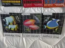 [TodoMarino.com] Libros acuariofilia