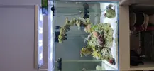 [TodoMarino.com] Nuevo acuario blau 238 L