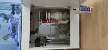 [TodoMarino.com] Nuevo acuario blau 238 L