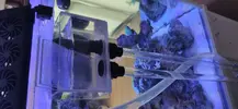 [TodoMarino.com] Nuevo acuario blau 238 L
