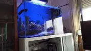 [TodoMarino.com] Urna 270l