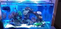 [TodoMarino.com] acuario con mueble y sump
