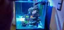 [TodoMarino.com] acuario con mueble y sump