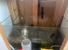 [TodoMarino.com] Mesa casera + sump Madrid