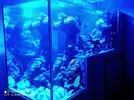 [TodoMarino.com] 450l en droop off 1.0