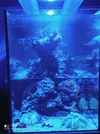 [TodoMarino.com] 450l en droop off 1.0