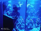 [TodoMarino.com] 450l en droop off 1.0