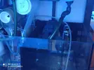 [TodoMarino.com] 450l en droop off 1.0