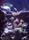 [TodoMarino.com] 450l en droop off 1.0