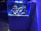 [TodoMarino.com] VENDIDO////Acuario de 80x40x50 cm con sump y mueble en Valencia(Torrente)