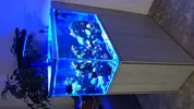 [TodoMarino.com] VENDIDO////Acuario de 80x40x50 cm con sump y mueble en Valencia(Torrente)