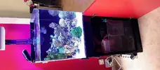 [TodoMarino.com] Cambio acuario completo BCN