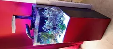 [TodoMarino.com] Cambio acuario completo BCN