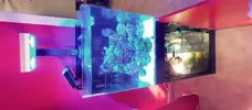 [TodoMarino.com] Cambio acuario completo BCN