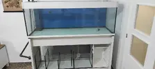 [TodoMarino.com] Desmonte acuario 370 litros  Cartagena-Mazarrón