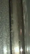 [TodoMarino.com] Filamentos blancos en el sump