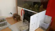 [TodoMarino.com] Socorro!! Acuario con fuga (con solución!)