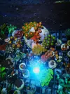 [TodoMarino.com] Zoanthussssssss