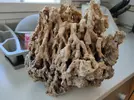 [TodoMarino.com] Roca natural