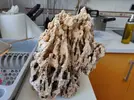 [TodoMarino.com] Roca natural