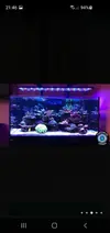 [TodoMarino.com] Barra led Orphek OR3 90(CERRADO)