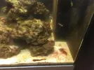 [TodoMarino.com] El Reef de Little