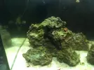 [TodoMarino.com] El Reef de Little