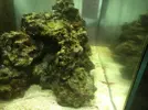 [TodoMarino.com] El Reef de Little