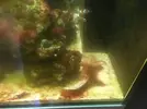[TodoMarino.com] El Reef de Little