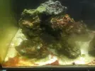 [TodoMarino.com] El Reef de Little