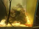 [TodoMarino.com] El Reef de Little