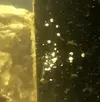 [TodoMarino.com] El Reef de Little