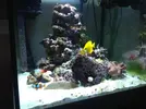 [TodoMarino.com] Problemas nivel del agua