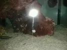[TodoMarino.com] mi acuario en proceso