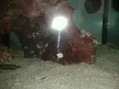 [TodoMarino.com] mi acuario en proceso