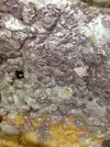 [TodoMarino.com] Mi primer acuario