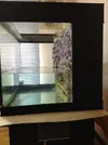 [TodoMarino.com] Mi primer acuario