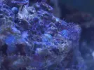 [TodoMarino.com] Primer acuario marino, empezamos con algo mas de 300l